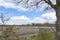 A view along trees on a colorful spectacle with various types of hyacinths and daffodils near Lisse, the Netherlands