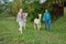 View of alpacas walking with Caucasian women in greenery field