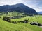 View of the alpine settlement Ennetmoos below Stanserhorn Mountain - Canton of Nidwalden, Switzerland