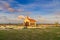 View of Alta Vista Chapel, Aruba