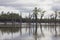 View of amazon river and local vegetation with dried trees reflected on the water