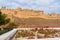 View of Amber fort and palace from Kesar Kyari Bagh garden on Maotha Lake. Rajasthan. India