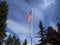 View of an American flag, flapping in the wind near evergreen trees in the pacific northwest