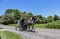 View of An Amish Horse and Carriage Traveling Down a Rural Country Road