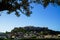 View of the ancient Acropolis from Monastiraki Square through old town buildings with olive tree foliage, focus on foreground