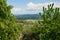 View from ancient French hilltop village of Gordes