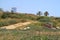 View of ancient and modern in Israel with a water silo in background of archaeological park where ruins of columns litter the