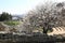 View of Ancient Theatre In Chersonesos