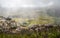 View from Andringitra massif as seen during trek to Pic Boby / Imarivolanitra, Madagascar highest accessible peak