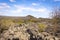View of Ankarana Special Reserve  tsingy plateau,  Ankarana, Madagascar