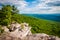 View from Annapolis Rocks, along the Appalachian Trail on South