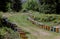 View apiary in the mountains