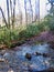 View of the Appalachian Mountain Trail from a lower elevation near a river creek