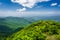 View of the Appalachian Mountains from Craggy Pinnacle, on the B