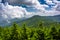 View of the Appalachian Mountains from the Observation Tower at