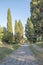 View of Appia Ancient historic Roman road