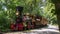 View of an Approaching Steam Passenger Train Blowing Smoke on a Sunny Summer Day