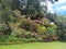 View of an area in Hakgala Botanical Garden, Nuwara Eliya, Sri Lanka.