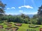 View of an area in the Hakgala Botanical Garden, Nuwara Eliya, Sri Lanka.