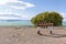 View of Argentinean lake shore, El Calafate - Argentina. Sign text in spanish `Lago Argentino