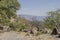 View of an arid land where the valley of the village of Tequila