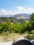 view Armenian mountains from temple of Garni