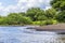 A view around bends in the Tortuguero River in Costa Rica