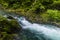 A view as the turbulent Radovna River tumbles over falls in the Vintgar Gorge in Slovenia