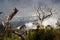 View from ascent to Mount Kinabalu - Borneo, Malysia