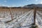 View of Assisi town Umbria in winter, with a vineyard covered