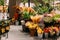 View of assortment of decor for interior shop in store of shopping center. View of ornamental plants, flower pot, home