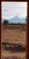 View of the Atacama desert dominated by the Licancabur volcano, Chile