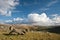 View from atop Norber Erratics