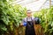 View of an attractive farmer in a greenhouse with tomatoes usin