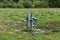 View of Automatic drinking tank for cattle