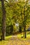 View of the autumn alley near Ruotsinpyhtaa church, Loviisa, Finland