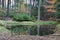 View of autumn lake of the Woods, southern Bohemia