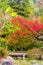 View of the autumn landscape in the park, Kyoto, Japan. Copy space for text. Vertical.