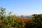 View of the autumn metropolis, autumn trees and high-rise buildings