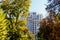 View of the autumn metropolis, autumn trees and high-rise buildings