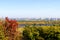 View of the autumn metropolis, autumn trees and high-rise buildings