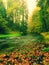 View into autumn mountain river with blurred waves,, fresh green mossy stones and boulders on river bank covered with colorful lea