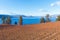 View of autumn vineyards, Okanagan Lake, blue sky, and mountains