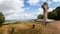 View of Autun,and the Cross of the Liberation at the summit of Saint-SÃ©bastien mountain, Autun, Burgundy, France