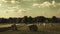 View at Avebury Henge and stone circle