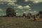 View at Avebury Henge and stone circle