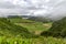 View of Azores Pastures