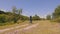 View from the back of a girl riding a bike on the road. Cycling on a field road. Young woman pedals a bicycle