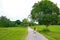 View from the back photo of woman walking in green forest