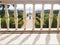 view through the balcony of the official residence of the presidency of the Portuguese Republic